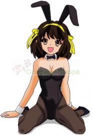 Haruhi Suzumiya Bunny Girl Rabbit girl Cosplay Outfit