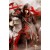 AC Assassin's Creed: China Chronicles Shao Jun Full Cosplay Costume