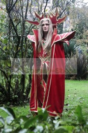 World of Warcraft WOW Prince Kael'thas Sunstrider Cosplay Costume