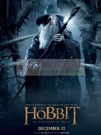 The Lord of the Rings / The Hobbit The Desolation of Smaug Gandalf Full Cosplay Costume